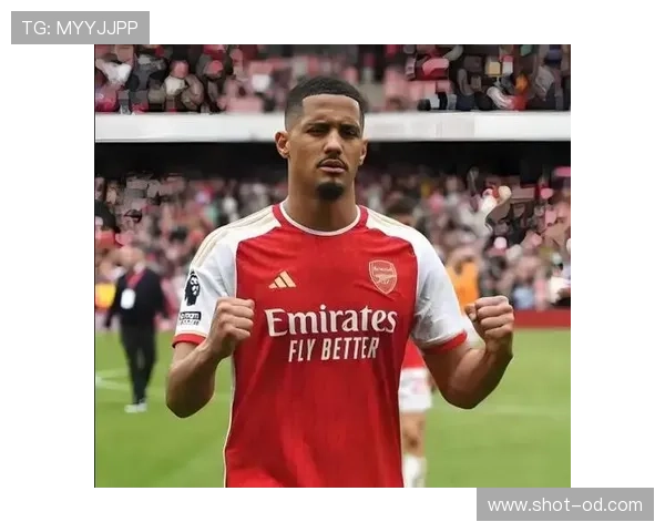 威廉·萨利巴对比鲁本·迪亚斯：体系型中卫风格差异