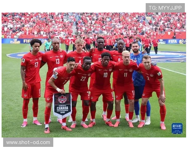 世界杯B组瑞士加拿大大战成关键战 世界杯B组瑞士加拿大大战成关键战